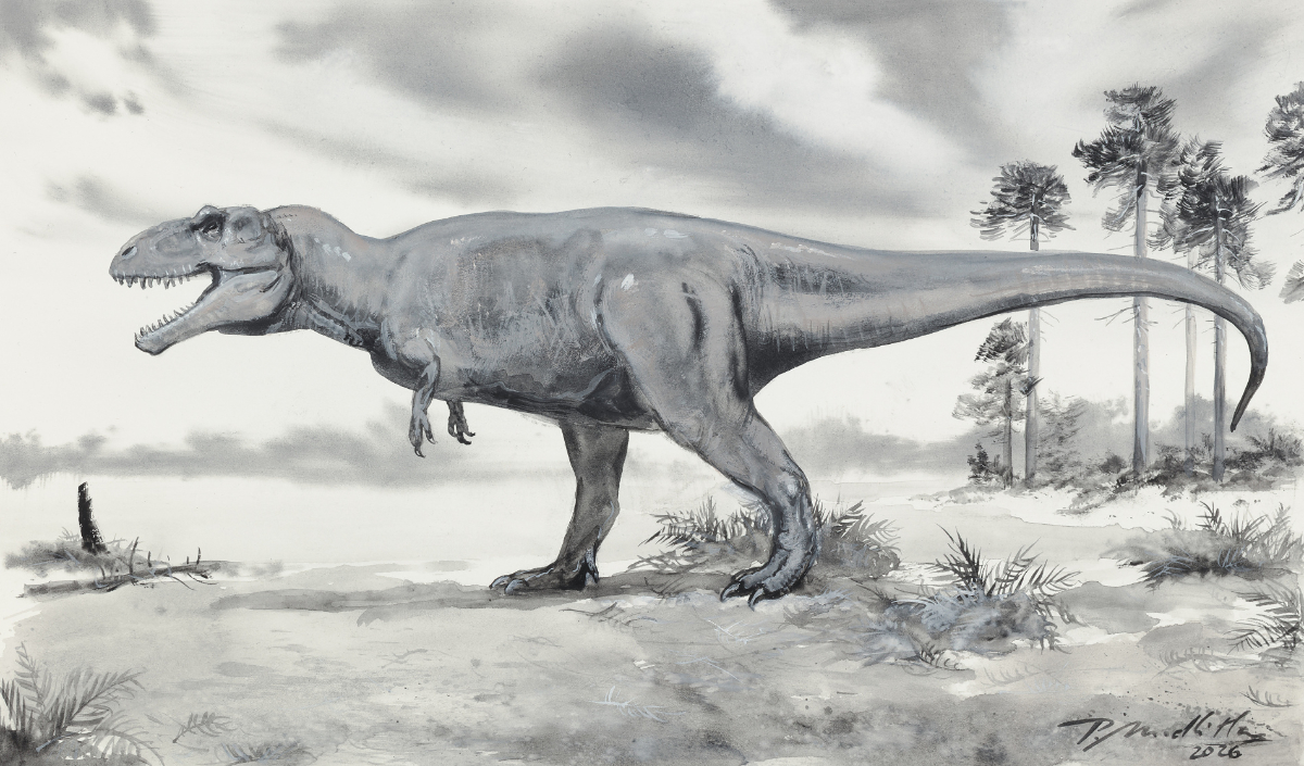 Giganotosaurus carolini — obraz Petra Modlitby, kvaš na kartonu, 2025